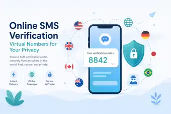 SMSHub 海外接码平台示意图